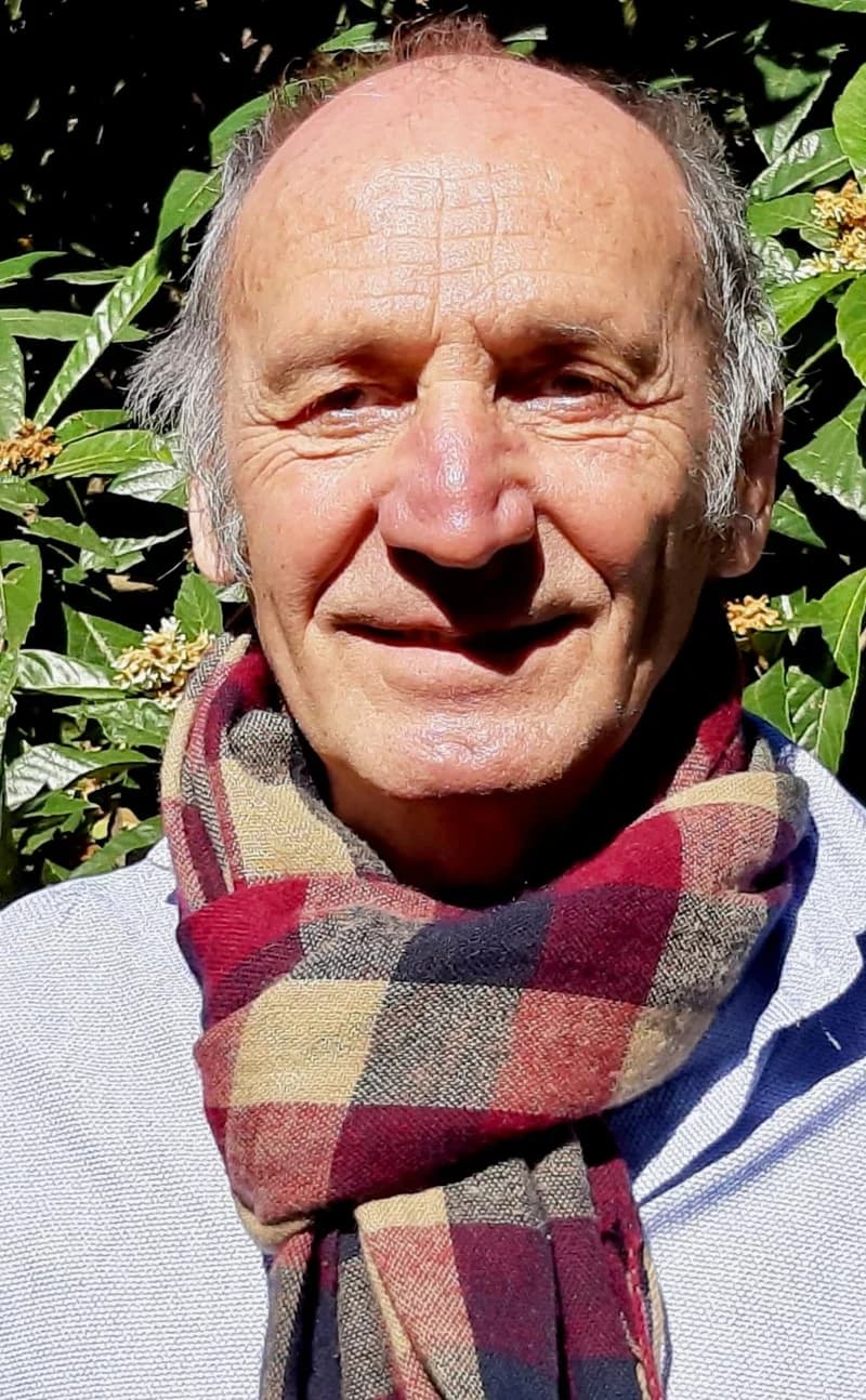 Pier Luigi Lattuada