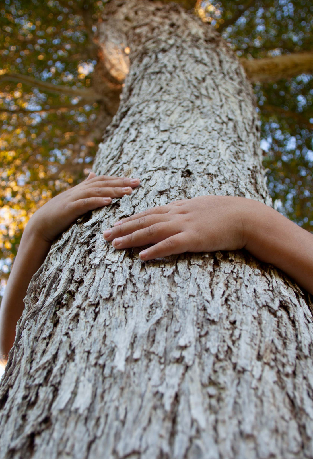 Abbracciare la gratitudine