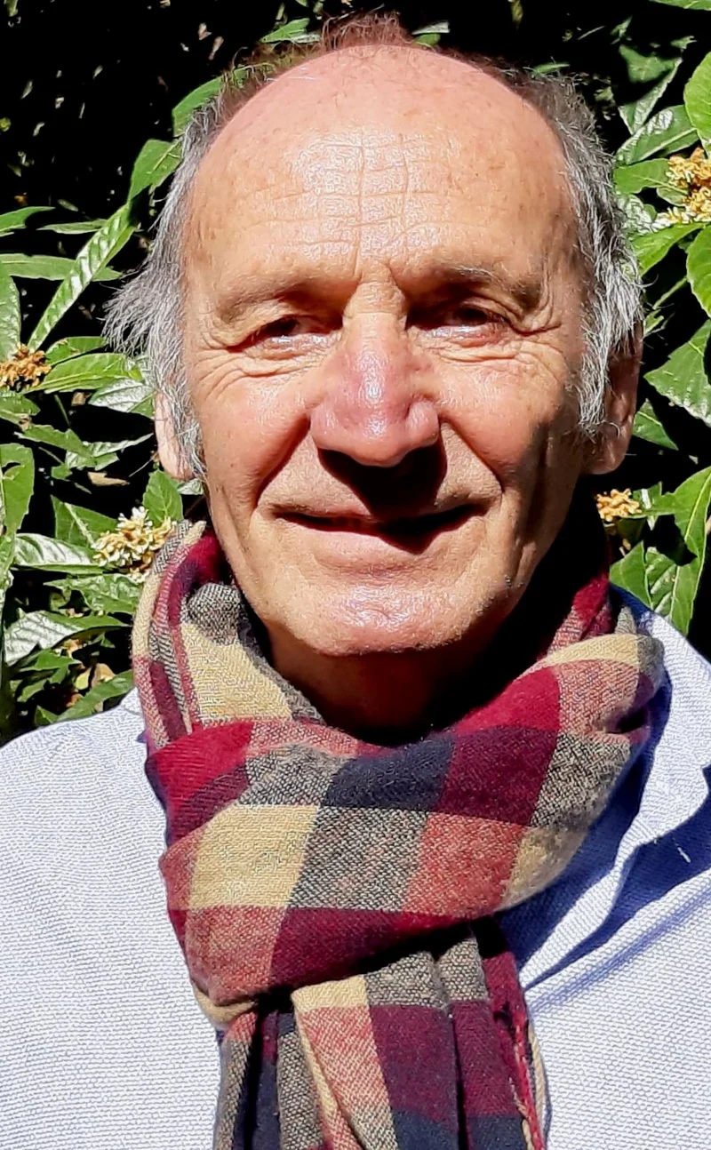 Pier Luigi Lattuada